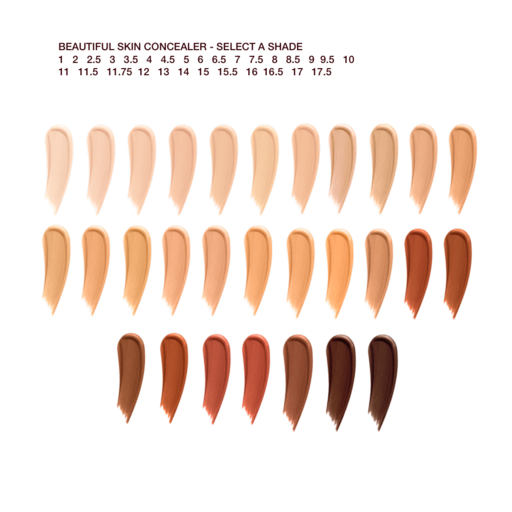 BEAUTIFUL SKIN COMPLEXION KIT – MAGISCHE ERSPARNISSE